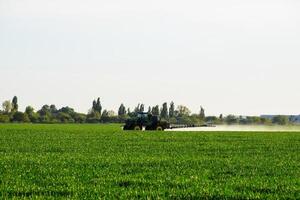 trattore con il Aiuto di un' spruzzatore spray liquido fertilizzanti su giovane Grano nel il campo. foto