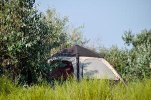 turista tenda sotto un' albero. turista campeggio. tenda multipla foto