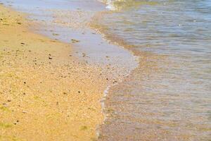 costiero mare onde. acqua di mare con alga marina. costiero alghe. mare spiaggia. foto