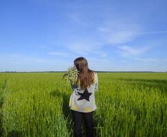 giovane bellissimo ragazza con un' mazzo di camomilla. un' donna nel un' orzo campo foto