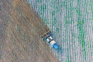 superiore Visualizza di il trattore quello aratri il campo. disconnettere il suolo. suolo coltivazione dopo raccogliere foto