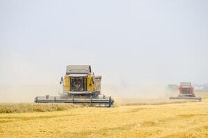 raccolta Grano con un' combinare mietitrice. foto