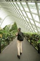 un' uomo nel nube foresta cupola ambiente a giardini nel Singapore foto