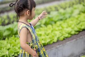 carino poco scuola materna bambino in crescita fresco insalata nel primavera un' poco ragazzo è contento con giardinaggio. bambini Aiuto con verdura giardinaggio nel il Casa. foto