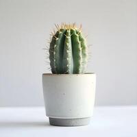 ai generato cactus nel un' minimalista pianta della casa pentola foto