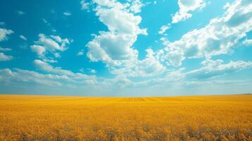 ai generato bellissimo naturale sfondo con giallo campo e blu cielo grande copyspace la zona con copia spazio per testo foto