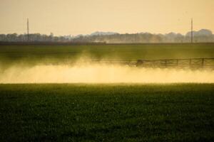 getti di liquido fertilizzante a partire dal il trattore spruzzatore. foto