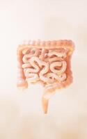 intestinale tratto con digestivo Salute concetto, 3d resa. foto