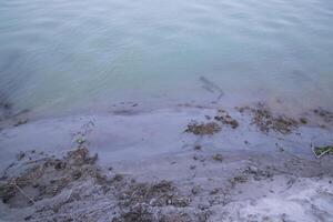 naturale paesaggio Visualizza di il banca di il padma fiume con il blu acqua foto