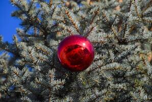 decorazioni nuovo anno albero. orpello e giocattoli, palle e altro decorazioni su il Natale Natale albero in piedi nel il Aperto aria. foto