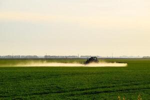 trattore con il Aiuto di un' spruzzatore spray liquido fertilizzanti su giovane Grano nel il campo. foto