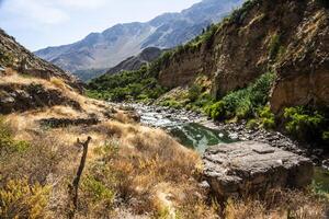 2023 8 16 Perù canyon del colca 25 foto