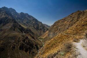 2023 8 16 Perù canyon del colca 21 foto