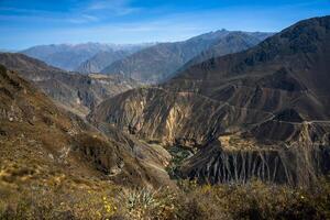 2023 8 16 Perù canyon del colca 19 foto