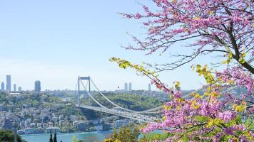 Visualizza di Istanbul a partire dal otagtepe con fatih ponte. viaggio Istanbul sfondo foto