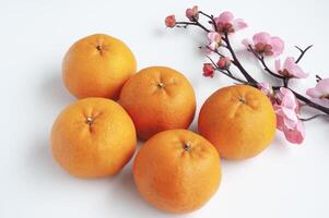superiore Visualizza di mandarino arance su bianca copertina sfondo. Cinese nuovo anno celebrazione foto