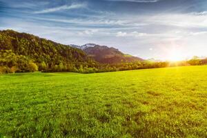 alpino prato nel Baviera, Germania foto