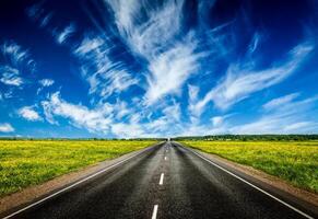 strada nel fioritura primavera prato foto