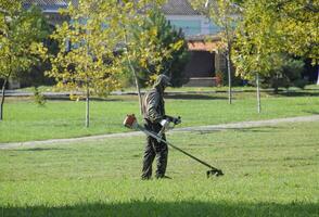 lavoratore falciatura erba con un' benzina spazzola. rifinitore. foto