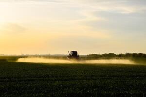 trattore con il Aiuto di un' spruzzatore spray liquido fertilizzanti su giovane Grano nel il campo. foto