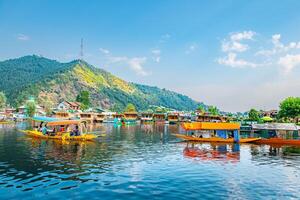 dal lago e il bellissimo montagna gamma nel il sfondo, nel il estate barca viaggio, di città Srinagar kashmir India. foto