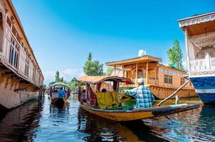 dal lago e il bellissimo montagna gamma nel il sfondo, nel il estate barca viaggio, di città Srinagar kashmir India. foto