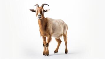 ai generato animale diritti concetto un' Marrone e bianca capra con curvo corna in piedi contro un' bianca sfondo. foto