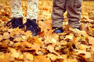 persone autunno autunno parco foresta d'oro foto