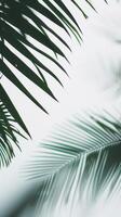 ai generato tropicale verde palma le foglie su un' leggero Indietro. astratto estate modello. foto