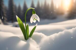 ai generato bucaneve fiori nel il neve. primule nel il foresta su un' soleggiato giorno. cartolina per il marzo vacanze. foto