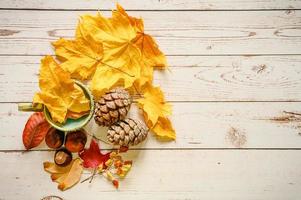 autunno autunno foglie d'oro distese piatte