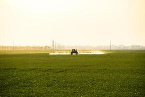 trattore con il Aiuto di un' spruzzatore spray liquido fertilizzanti su giovane Grano nel il campo. foto