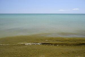 costiero mare onde. acqua di mare con alga marina. costiero alghe. mare spiaggia. foto