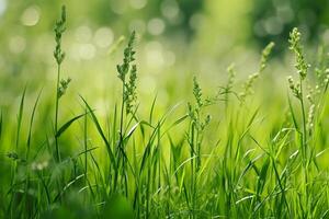 ai generato verde erba con bokeh sfondo, superficiale profondità di campo. foto