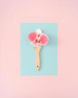 creativo primavera e estate disposizione fatto con dipingere spazzola e bellissimo rosa orchidea fiore su pastello rosa e blu sfondo. minimo concetto. di moda dipingere spazzola con fiori idea. natura piatto posizione. foto