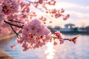 ai generato un' ramo fioritura con rosa fiori al di sopra di il acqua. primavera sfondo con sfocatura. generato di artificiale intelligenza foto