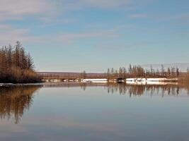 fiume paesaggio presto primavera. spoglio alberi, fusione neve. foto