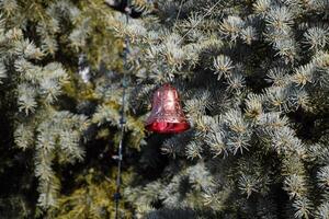 decorazioni nuovo anno albero. orpello e giocattoli, palle e altro decorazioni su il Natale Natale albero in piedi nel il Aperto aria. foto