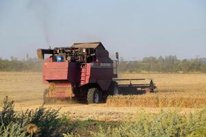 il vecchio combinare mietitore raccolti Grano. agricolo macchinari. foto