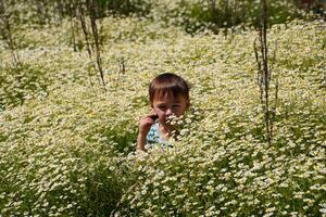 ragazzo nel margherita fiori, campo con margherite foto