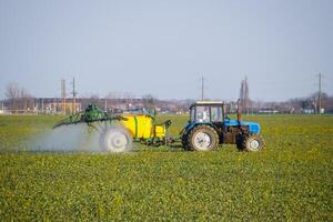 trattore fertilizza un' canola campo, spruzzatura fertilizzante con un' trattore. foto