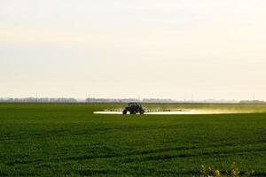 trattore con il Aiuto di un' spruzzatore spray liquido fertilizzanti su giovane Grano nel il campo. foto