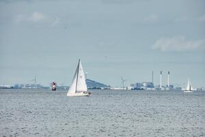 barca a vela regata, oresund stretto, con il copenhagen orizzonte Visualizza. foto