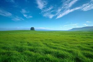 ai generato tranquillo scena verde erba campo tratti sotto un' chiaro blu cielo foto