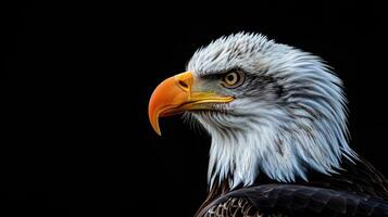 ai generato americano Calvo aquila nel il noi bandiera foto