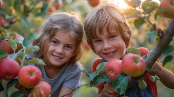 ai generato un' ragazzo e un' ragazza di 10 anni vecchio raccogliere bellissimo rosso mele a partire dal un Mela albero nel un' estate giardino nel soleggiato tempo metereologico foto