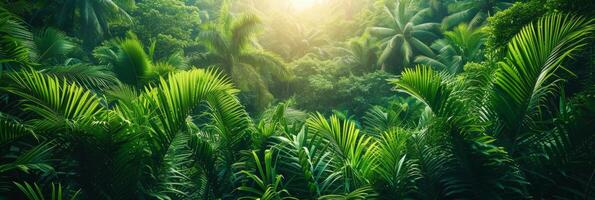 ai generato bellissimo foto di un' tropicale foresta per un' sfondo