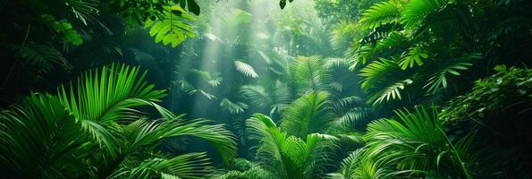 ai generato bellissimo foto di un' tropicale foresta per un' sfondo