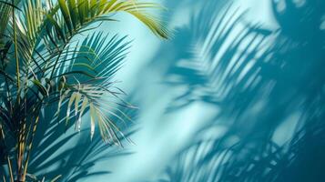 ai generato leggero blu parete e sfocato ombra a partire dal palma le foglie foto