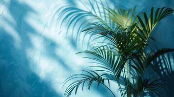ai generato leggero blu parete e sfocato ombra a partire dal palma le foglie foto